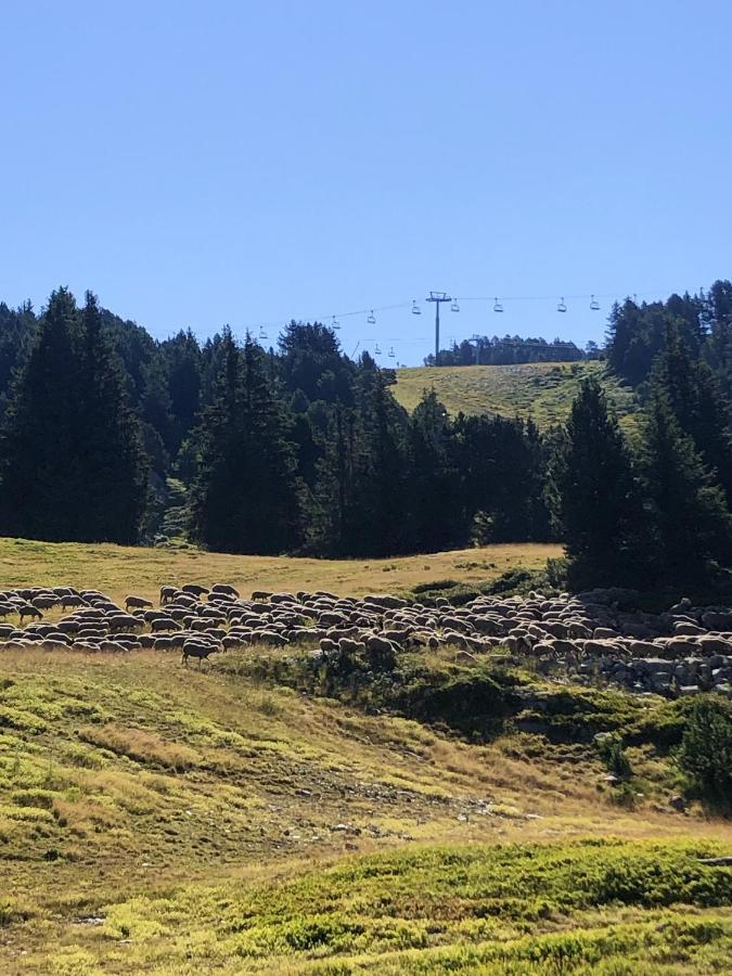 Appartement Cosy A Chamrousse Avec Vue Sur Montagne + 34M² Kültér fotó